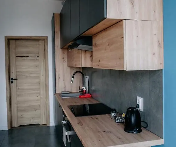 Vs - Apartament Nr 35 罗兹